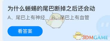 蜥蜴尾巴断掉后为何还会动 第1张