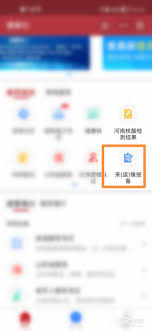 如何查看支付宝返乡报备记录 第3张