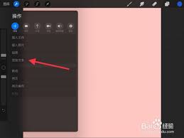 procreate如何添加文字 第3张