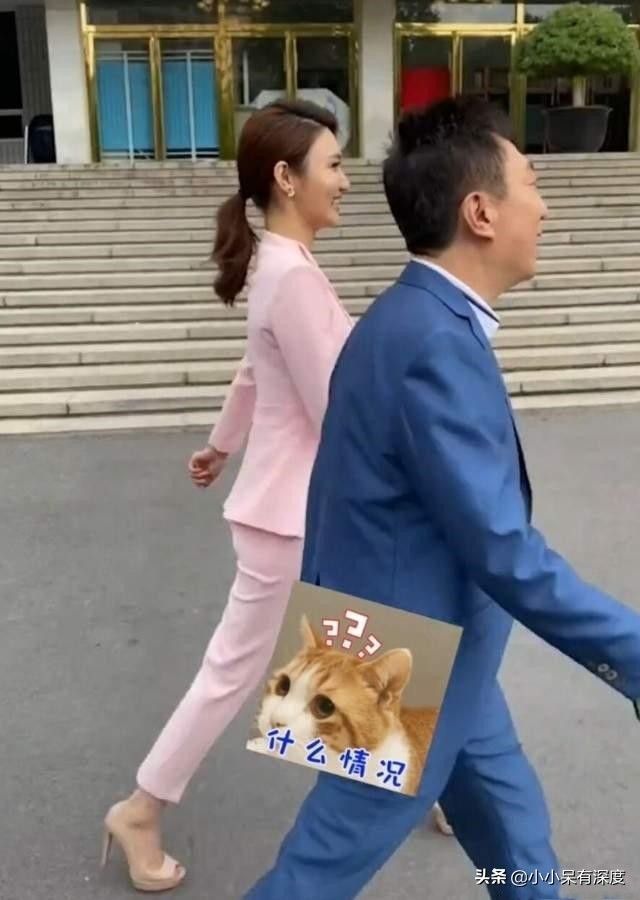 ​陈伟鸿老婆朱莉的简介（央视主持人陈伟鸿，他今年55岁了，老婆大人长相优雅端 第5张