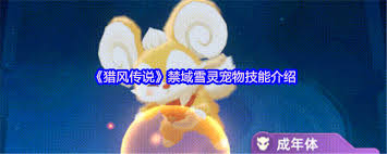 猎风传说禁域雪灵如何 第3张 猎风传说禁域雪灵如何 第3张