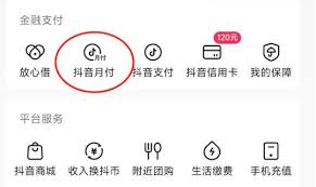 抖音月付为何被推荐 第2张