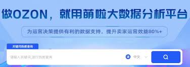 俄罗斯浏览器如何更改语言设置 第1张