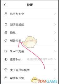 Soul如何开启夜间模式 第2张