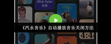 汽水音乐如何关闭自动播放 第2张
