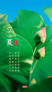 夏季树木生长旺季在何时 第3张