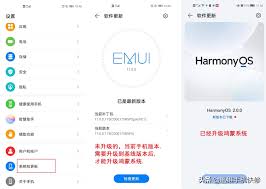 华为如何升级鸿蒙系统 第1张