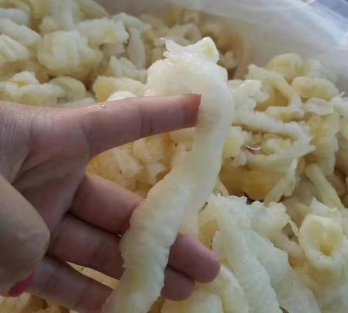 ​干花胶放冷藏还是冷冻,花胶吃不完放冰箱冷冻还是冷藏 第1张