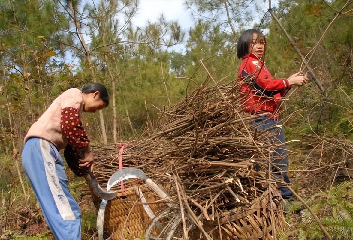 ​八十年代的农村生活图片 八十年代的农村生活图片用手绢扎头发 第4张
