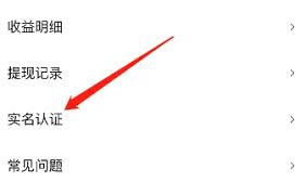 赫兹如何进行实名认证 第2张