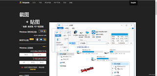 Snipaste怎么全屏截图 第2张