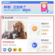 支付宝有点东西如何添加内容 第1张