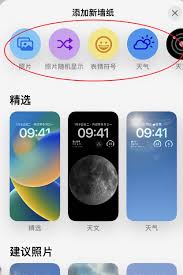 苹果15promax怎么设置主屏幕壁纸 第2张