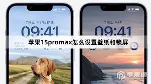 苹果15promax怎么设置主屏幕壁纸 第3张