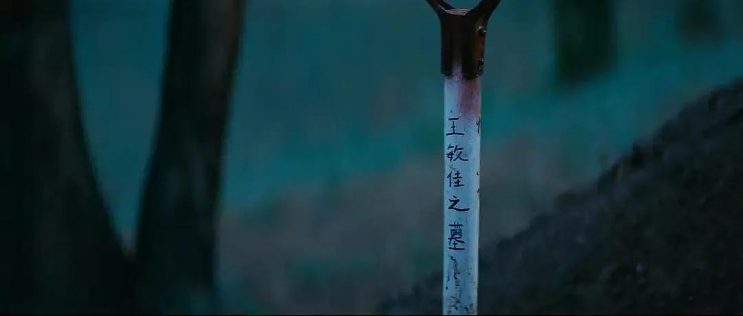 ​爱你所爱，行你所行，听从你心，无问西东，这个时代缺的是什么人 第16张