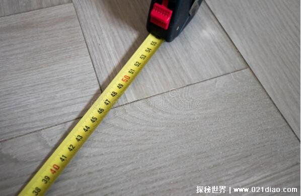 ​数学中dm是什么单位什么意思，长度单位分米(1m等于10dm) 第3张