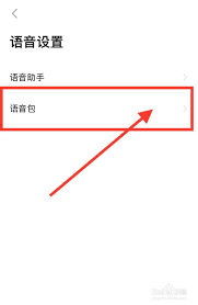 如何设置高德地图派蒙导航语音包 第3张