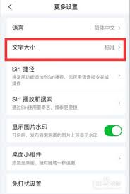 爱奇艺文字大小怎么调整 第3张
