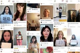 小红书如何更改博主身份 第2张