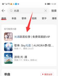 网易云音乐如何使用光遇专属兑换码 第1张