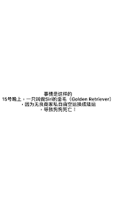 抖音金毛siri究竟是什么意思 第2张