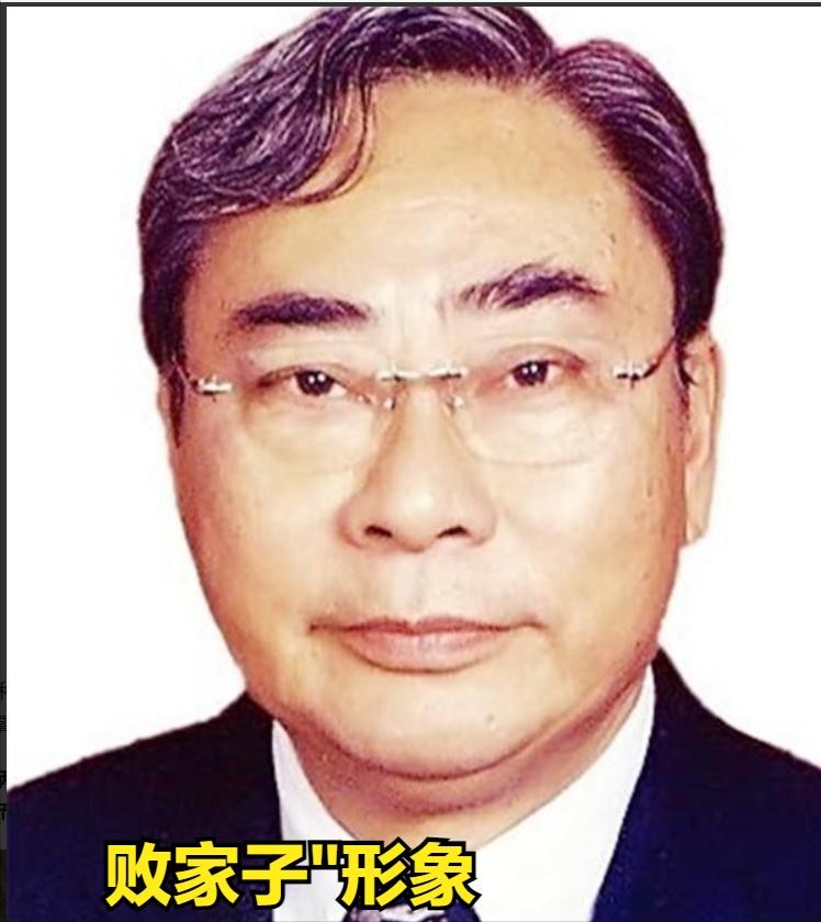 ​大儿子沉迷美色无心家业，二儿子败光400亿，一世英名被后代毁掉 第8张