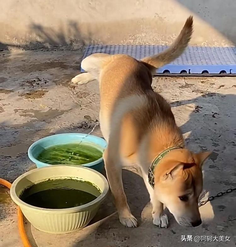 ​“50张”搞笑图片，专治不开心，你能坚持到第几图不笑? 第2张