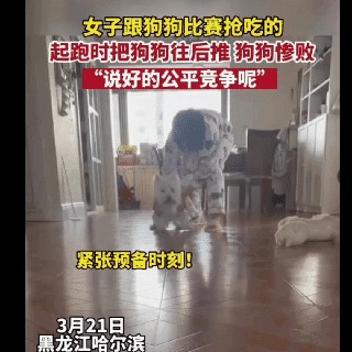 ​“50张”搞笑图片，专治不开心，你能坚持到第几图不笑? 第15张