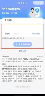 云闪付怎么查征信报告 第2张