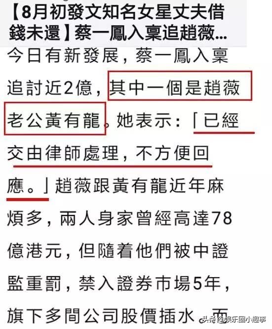 ​赵薇老公麻烦大了，港媒曝黄有龙遭名媛讨债，欠债或是高达2亿多 第6张
