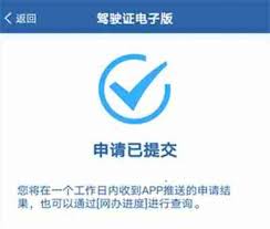 电子驾照获取随机数异常如何解决 第2张