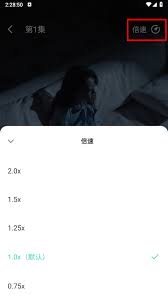 大鱼短剧如何看剧 第1张