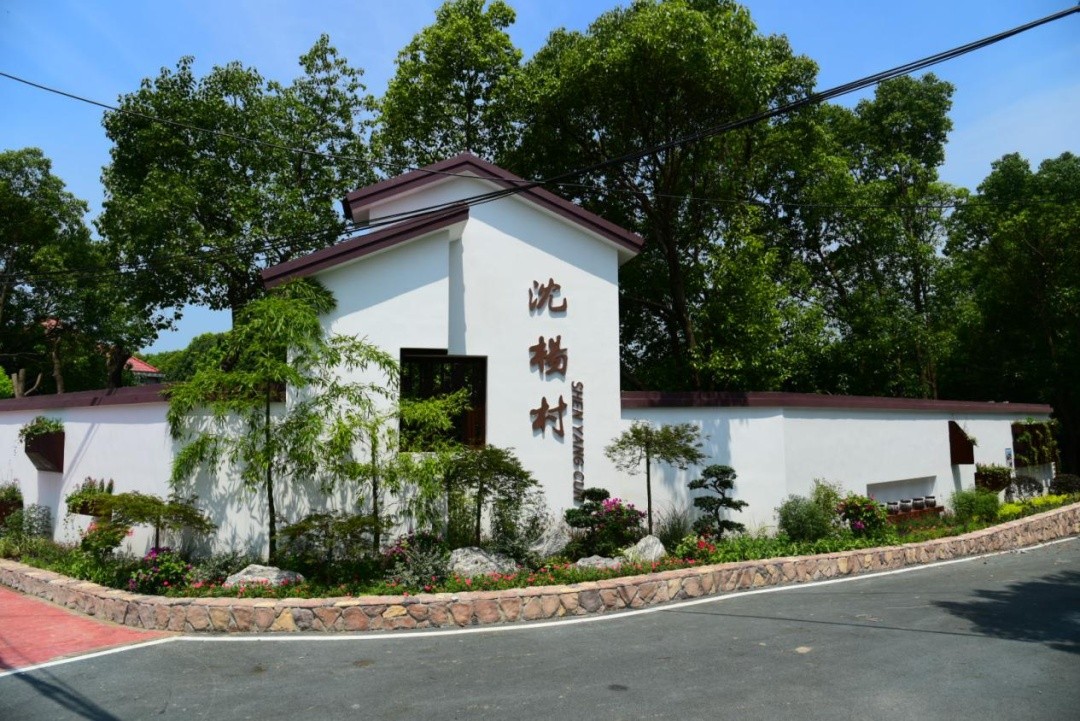 ​宝山区顾村镇沈杨村生态清洁小流域示范点 第2张