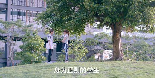 鹿晗和关晓彤定情之作,收视扑街,网友:装傻白甜不想看 第11张 鹿晗和关晓彤定情之作,收视扑街,网友:装傻白甜不想看 第11张
