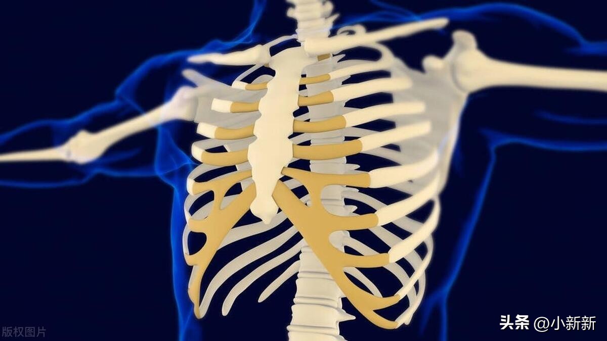 ​揭秘火化过程：人死后的奇妙之旅 第2张