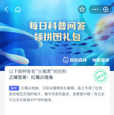 哪种鱼有长嘴鹰的别称 第3张