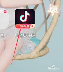 抖音极速版如何清理缓存 第2张