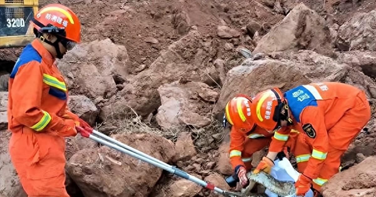 ​闹大了！龙岩一工地挖出“冬眠”蟒蛇，重达35斤！网友：从哪来的 第1张