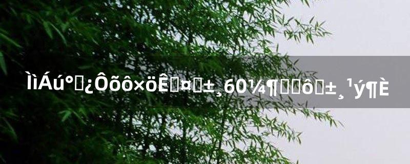 天龙八部怎么做手工装备?60级使什么装备过度 第1张 天龙八部怎么做手工装备?60级使什么装备过度 第1张