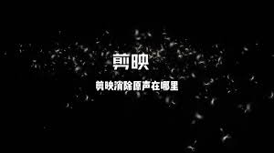 云美摄如何去除原声 第1张