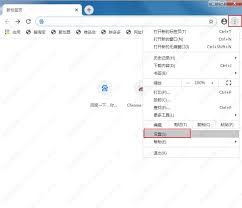 谷歌浏览器如何实现长按加速 第2张