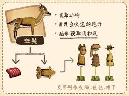 村落人生动物篇生存指南是什么 第2张