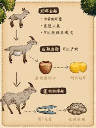 村落人生植物篇生存指南 第1张 村落人生植物篇生存指南 第1张