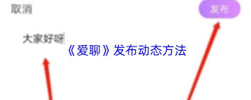 爱聊如何发动态 第1张 爱聊如何发动态 第1张