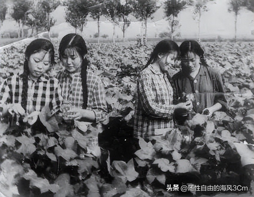 ​70年代女知青下乡旧照，最后一张颜值秒杀当今很多女明星 第10张