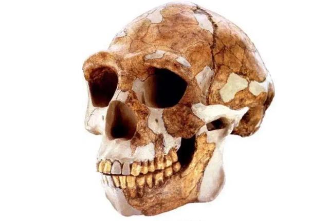 ​山海经有什么奇花异草（胆小勿入这些人头骨） 第6张