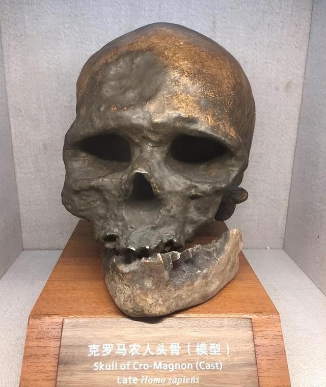 ​山海经有什么奇花异草（胆小勿入这些人头骨） 第3张