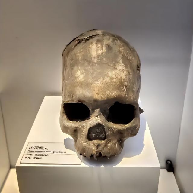 ​山海经有什么奇花异草（胆小勿入这些人头骨） 第9张