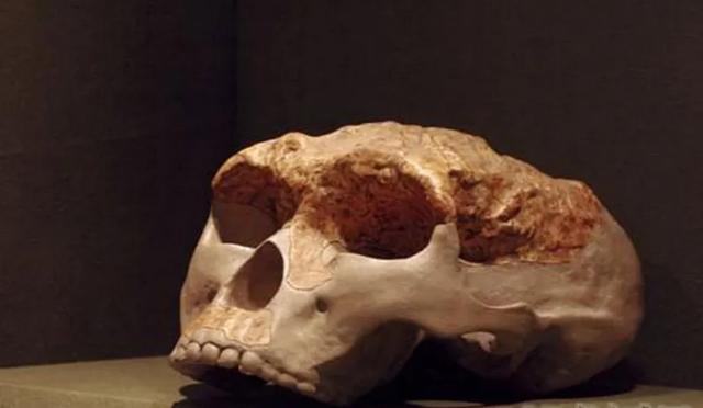 ​山海经有什么奇花异草（胆小勿入这些人头骨） 第7张