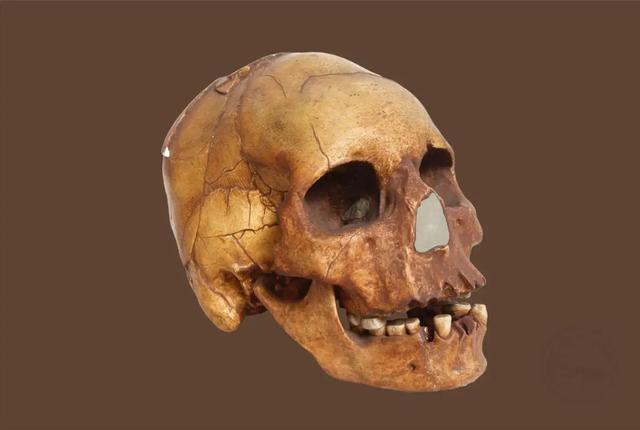 ​山海经有什么奇花异草（胆小勿入这些人头骨） 第5张